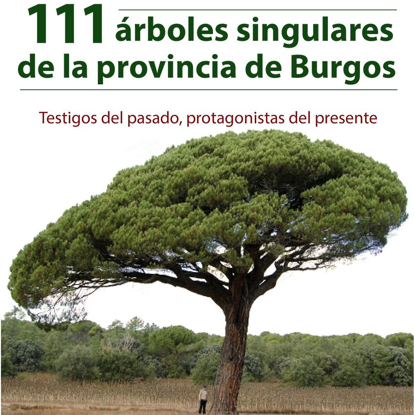 catalogo provincial arboles singulares Burgos