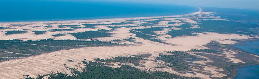 Doñana Huelva