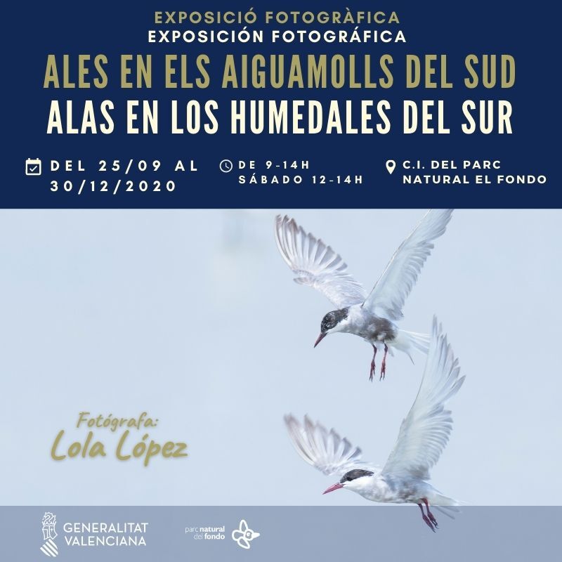 Exposición fotografia