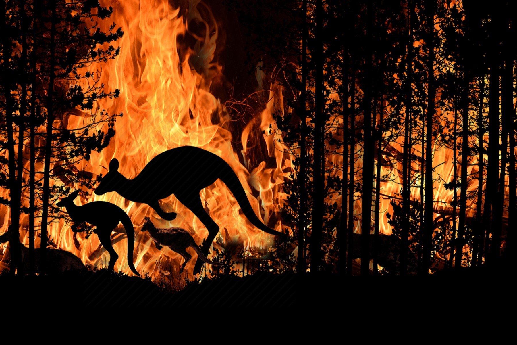 Megaincendio en Australia baja