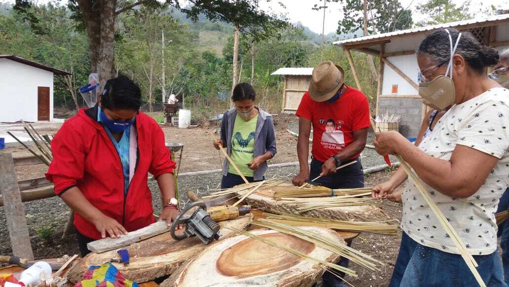 Proyecto Bambú Bambal Ecuador
