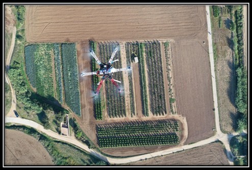 Teledetección del dron en cultivos SJWP