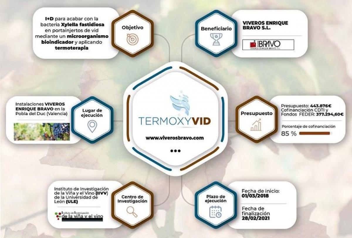 proyecto TERMOXYVID termoterapia Xylella fastidiosa