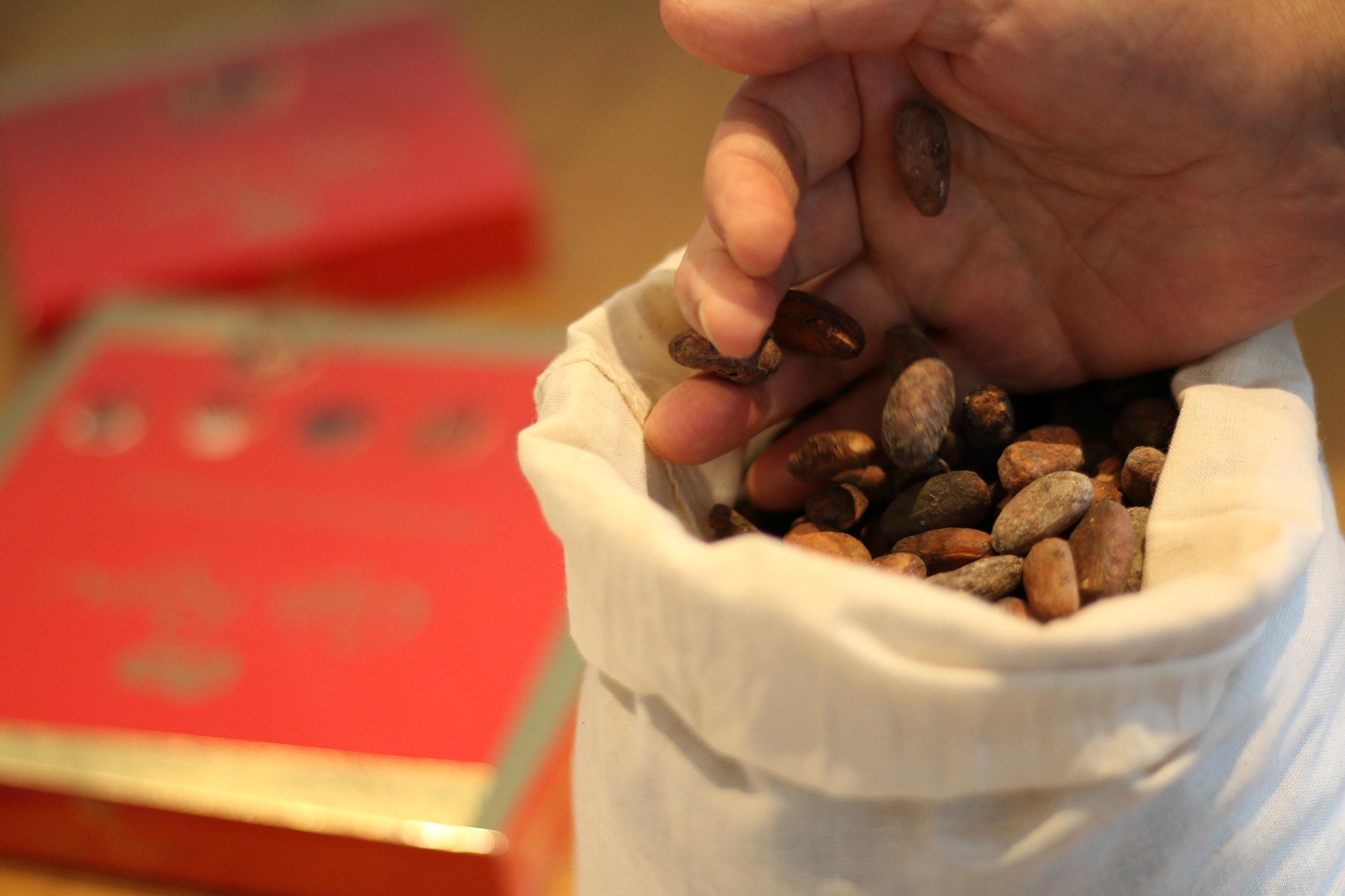 1321 NP Nestlé utilizará cascarilla de cacao para producir energía verde