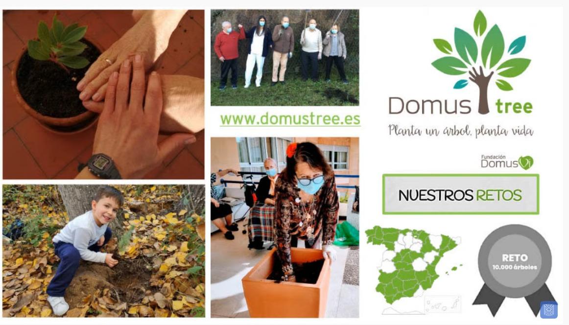 domustree