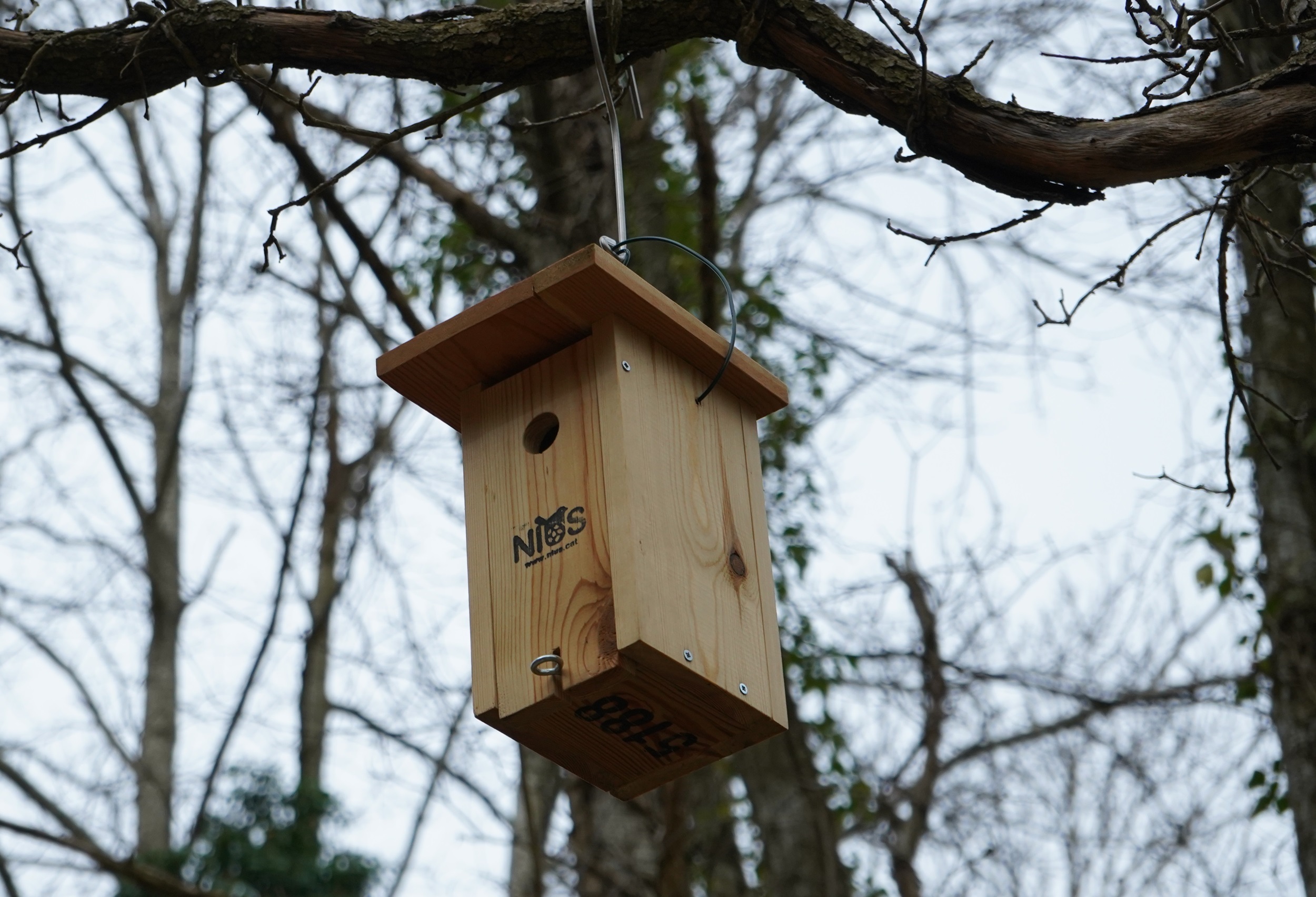 1325 Agua Viladrau y el Grup de Naturalistes dOsona impulsan la biodiversidad en el Parque Natural del Montseny