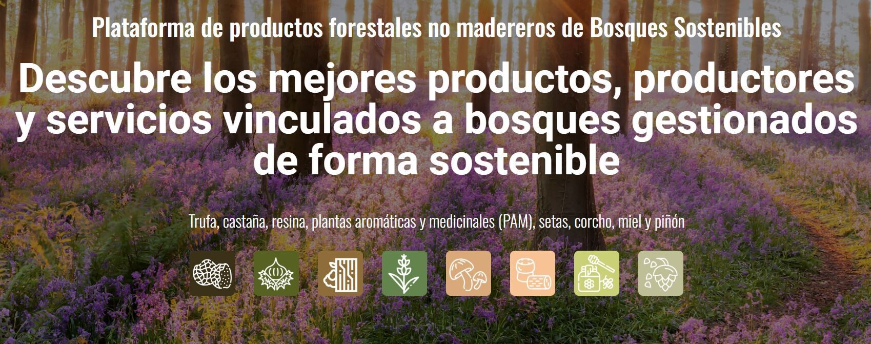 PEFC plataforma