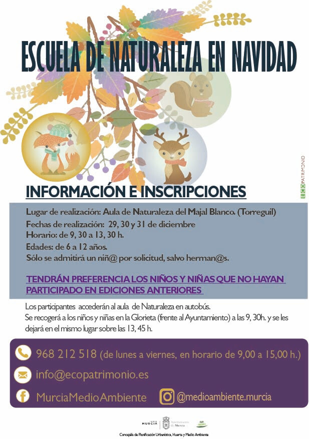 actividades navidad majal