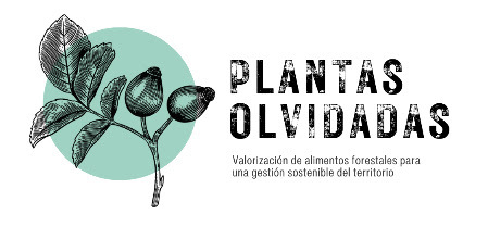 plantas olvidadas
