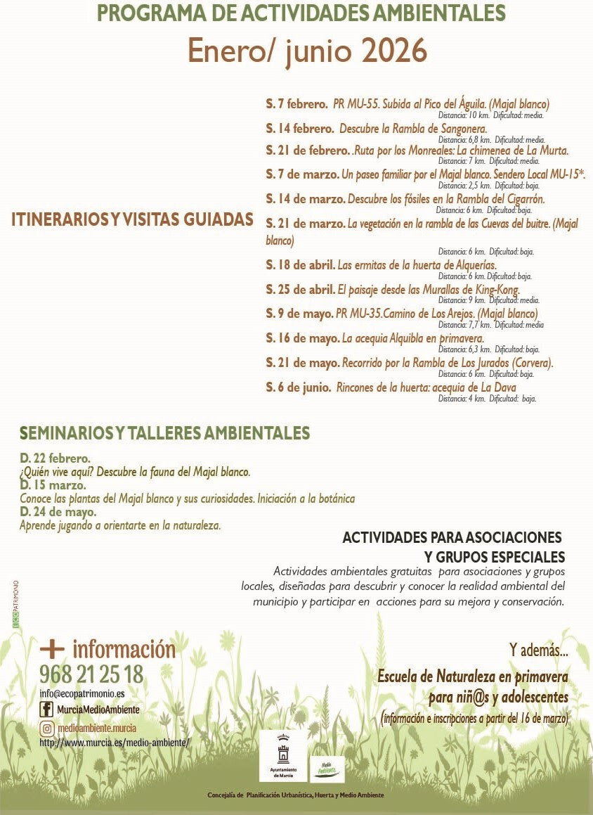 actividades enero junio26